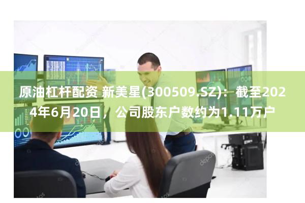 原油杠杆配资 新美星(300509.SZ)：截至2024年6月20日，公司股东户数约为1.11万户