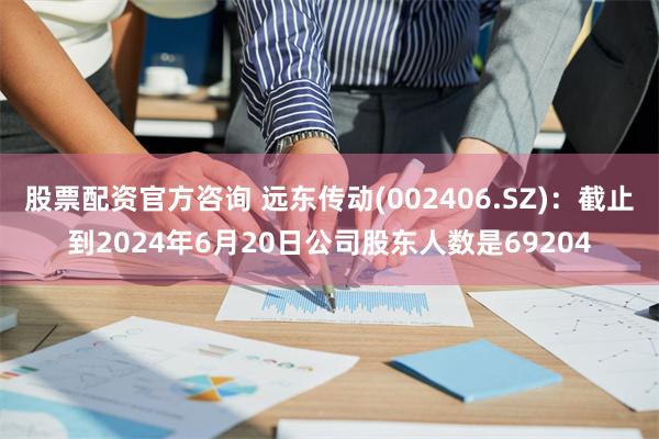 股票配资官方咨询 远东传动(002406.SZ)：截止到2024年6月20日公司股东人数是69204