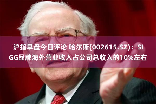 沪指早盘今日评论 哈尔斯(002615.SZ)：SIGG品牌海外营业收入占公司总收入的10%左右