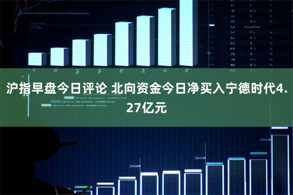 沪指早盘今日评论 北向资金今日净买入宁德时代4.27亿元