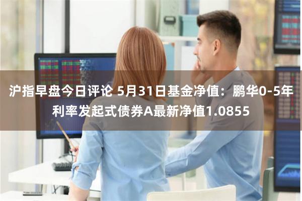 沪指早盘今日评论 5月31日基金净值：鹏华0-5年利率发起式债券A最新净值1.0855