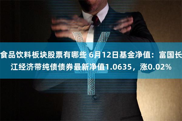 食品饮料板块股票有哪些 6月12日基金净值：富国长江经济带纯债债券最新净值1.0635，涨0.02%