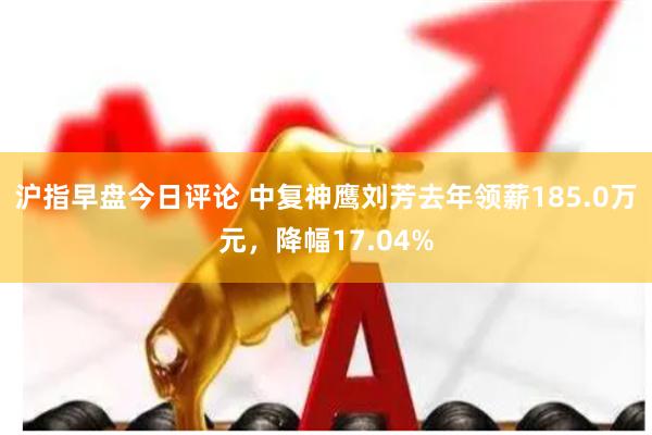 沪指早盘今日评论 中复神鹰刘芳去年领薪185.0万元，降幅17.04%