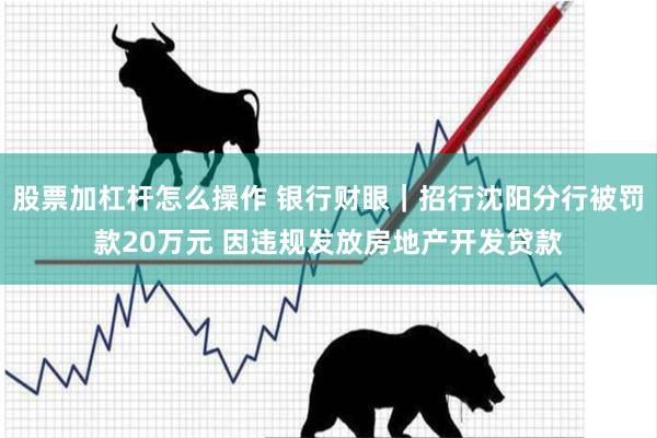 股票加杠杆怎么操作 银行财眼｜招行沈阳分行被罚款20万元 因违规发放房地产开发贷款