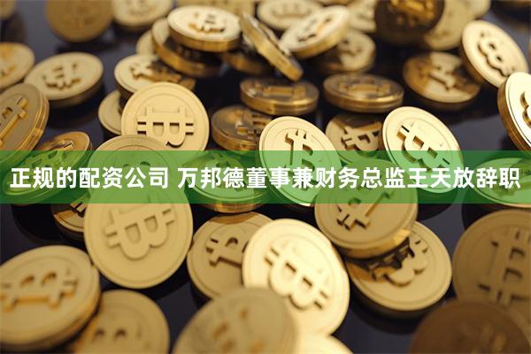 正规的配资公司 万邦德董事兼财务总监王天放辞职