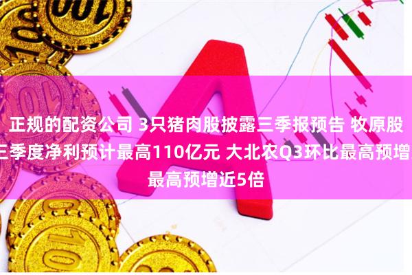正规的配资公司 3只猪肉股披露三季报预告 牧原股份前三季度净利预计最高110亿元 大北农Q3环比最高预增近5倍