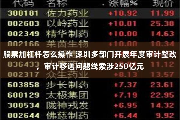 股票加杠杆怎么操作 深圳多部门开展年度审计整改，审计移送问题线索涉250亿元