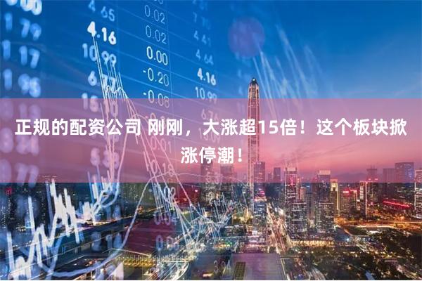 正规的配资公司 刚刚，大涨超15倍！这个板块掀涨停潮！