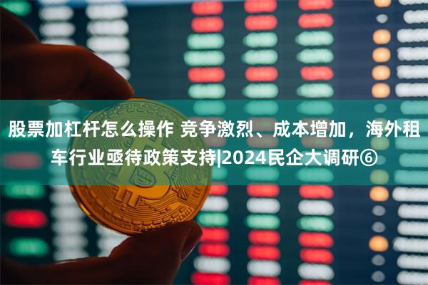 股票加杠杆怎么操作 竞争激烈、成本增加，海外租车行业亟待政策支持|2024民企大调研⑥
